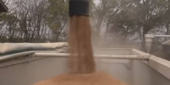 Grain vacuum transport ejector application