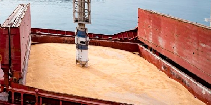 Grain ship loader ejector application