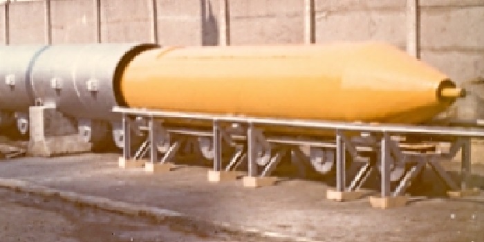 Pneumatic tube system for container transport